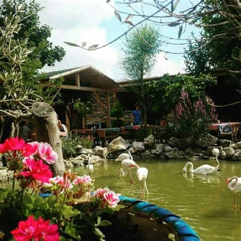 Flamingo köy polonezköy